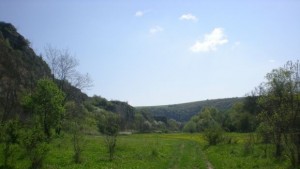 Природозащитният център край Нисово отваря врати в събота