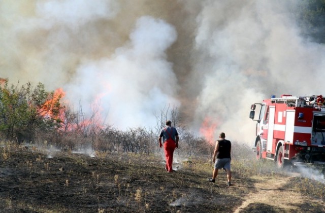 Алжирци предизвикали пожара край Лесово, за да ги открият бързо