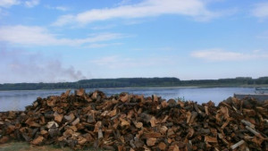 Голям ръст при молбите за отопление и за първокластници в