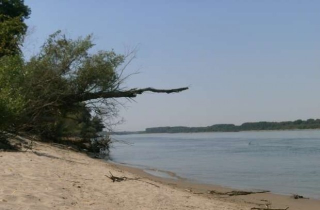 Предприети са наказателни мерки срещу „Астра биоплант” за замърсяването на Дунав