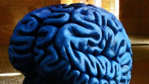 Учени отгледаха миниатюрни мозъци в лаборатория