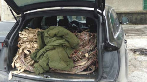 Задържаха крадци на кабел