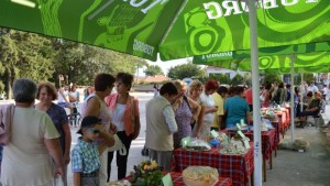 Кулинарна изложба събра пари за пострадалите от наводнения във Вълчи