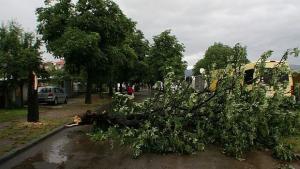 Жълт код за Добрич заради силен вятър