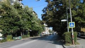 Оформят короните на дърветата по ул Стефан Караджа