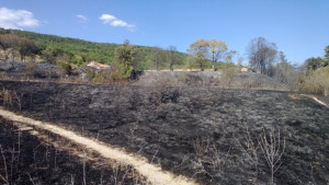 Голям пожар горя във Виница СНИМКИ