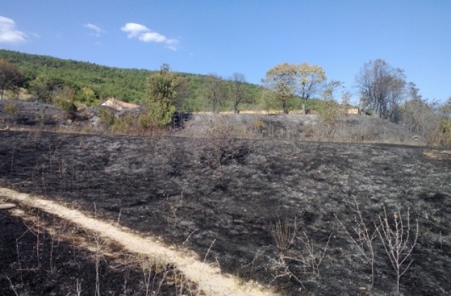 Голям пожар горя във Виница (СНИМКИ)