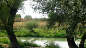 Изграждат предпазни съоръжения по река Тунджа в района на село