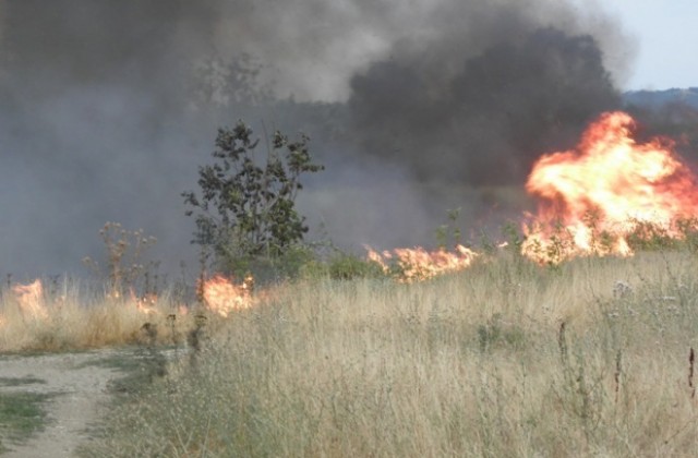 Изгасиха пожара в гората край с. Райново