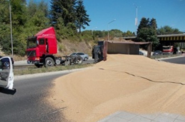 Камион се обърна, засипа пътя с жито