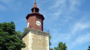 Откриват традиционните празници Свищовски лозници