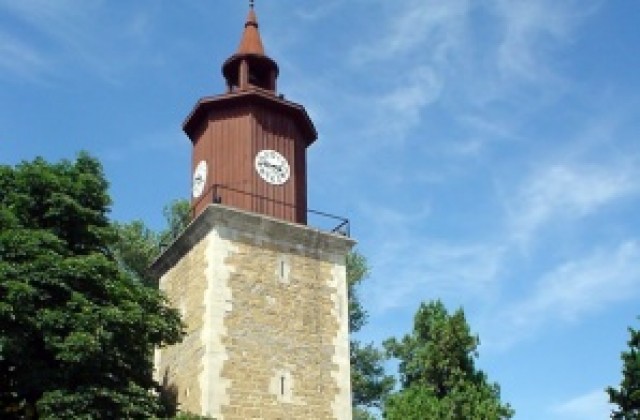 Откриват традиционните празници Свищовски лозници