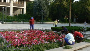 Увеличават се хората подпомогнати чрез социални помощи