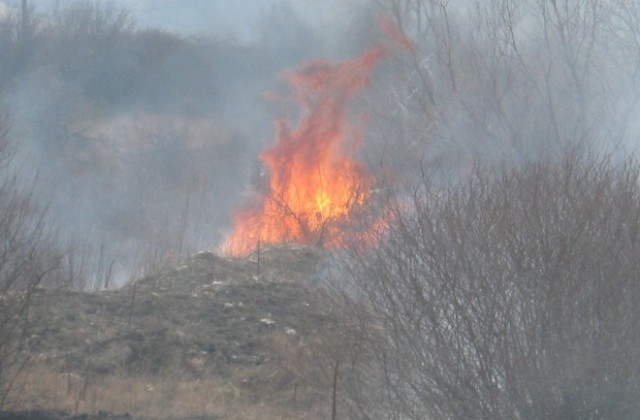 Пожар в гората над село Копиловци