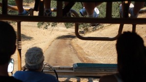 Варненец преобърна джип сафари с три британки