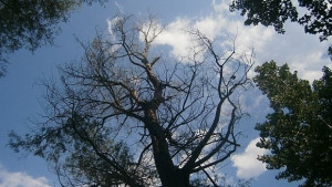 Слънцето се връща