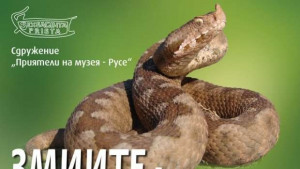 Змиитекрасивите непознати