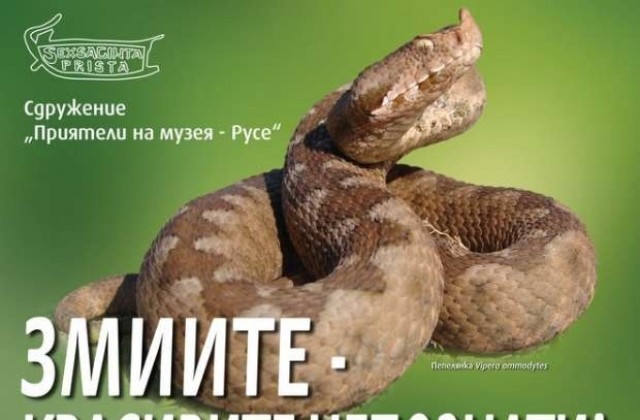 Змиите-красивите непознати