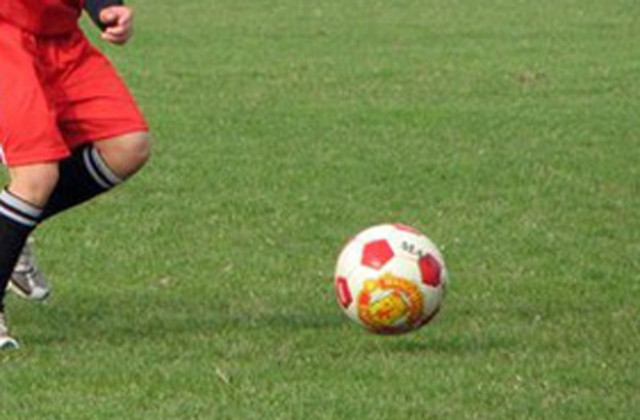 Още оставки в ръководството на Ботев, Петров остава ст.треньор