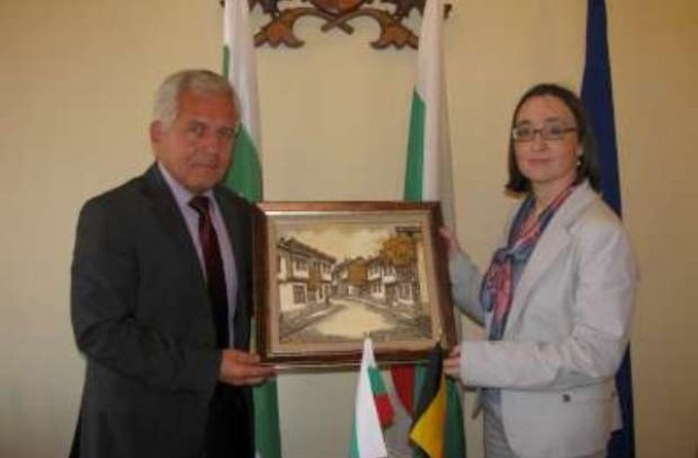 Организират изложба белгийска карикатура в Трявна