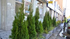 Казанлък става все позелен