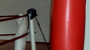 Кметът връчва грамоти на изявени спортисти