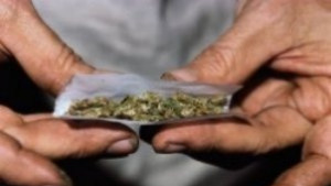 Пласьор на марихуана се споразумя с прокуратурата за условна присъда