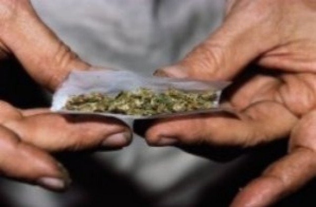 Пласьор на марихуана се споразумя с прокуратурата за условна присъда