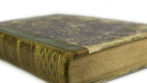 Защо едностранно продължаваме да си подритваме историята