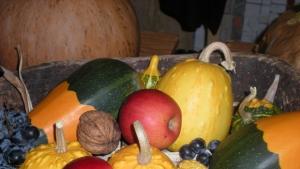 Тиквени фантазии и изкушения в Севлиево