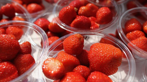 Роботи ще берат ягоди в Япония