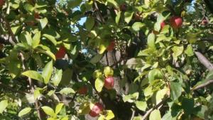 Топъл четвъртък