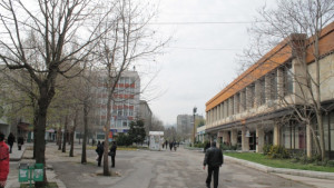 Ден на диалога в Търговище