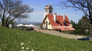 Отвориха ценовите оферти за парка в Дъбника и Хижата