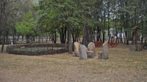 Канят децата на празник за 10ия рожден ден на зоопарка