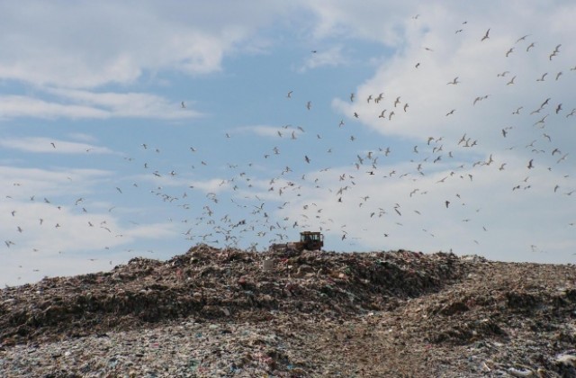 В нова клетка събират боклука на Варна от 1 октомври