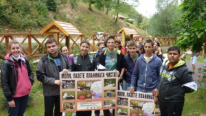 Внимание Не винаги мечките спят зимен сън написаха доброволци на