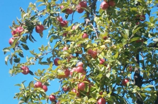 Информационна кампания за земеделски производители