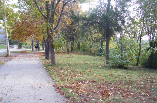 Остава студено