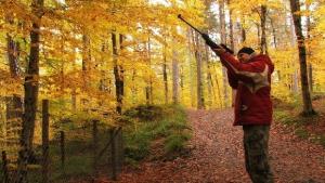 Дружинки тръгват на лов за дива свиня