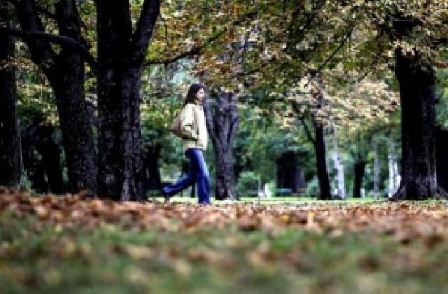 След студената сутрин - до 16 градуса и слънце