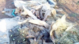 Търговец не позволил изземване на риба с неясен произход