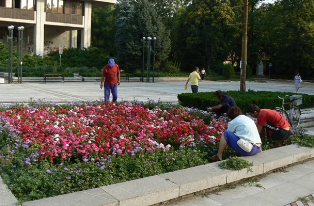 Седем фирми бавят заплатите на работниците си във Видин и Монтана