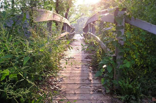 Над 300 русенци ще се включат в крос-поход