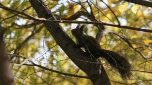Затоплянето ще продължи