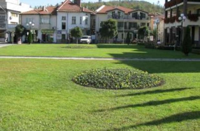 Близо 13 000 цветя засаждат в Трявна