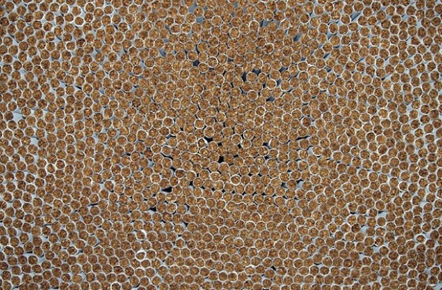 Задържаха български шофьор във Франция, превозвал контрабанден тютюн за 1,2 млн. евро