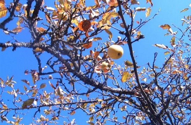 Предимно слънчево