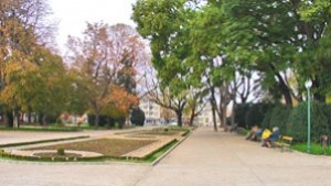 Световният ден срещу Монсанто отбелязват и в Добрич