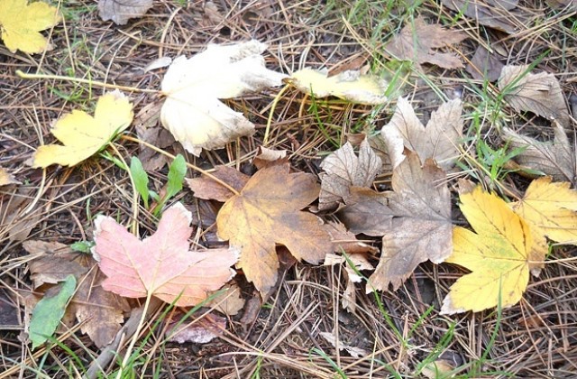 Облачно и мъгливо